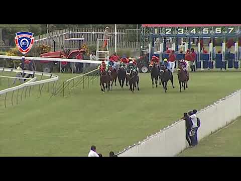 RM8 R5 | Opera Royal | M.Nunes