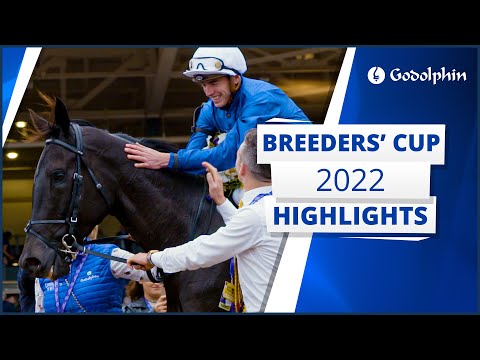 Breeders' Cup 2022 recap