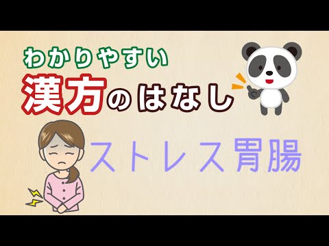 薬学科 ストレスからくる胃痛に効果的な漢方の選び方！