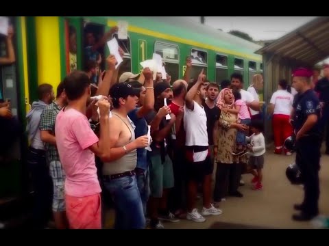 Czy Polska powinna przyjąć uchodźców z Syrii?