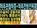 척추관협착증! 척추전방전위증! 통증완치운동영상! spinal stenosis [머슬한TV]