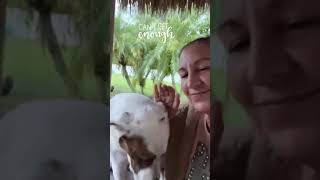 There is nothing better than the love from a grateful rescue dog There is nothing better than the love from a grateful rescue dog