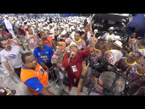 Alegria da Zona Sul 2015 - Início do Desfile