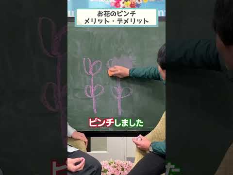 ガーデニングは健康!