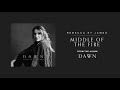 Middle of the Fire - Rebecca St. James (feat. Josh Baldwin)