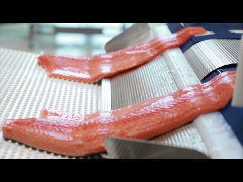 download lagu mp3 mp4 Fish Pin Bone Remover Machine, download lagu Fish Pin Bone Remover Machine gratis, unduh video klip Fish Pin Bone Remover Machine