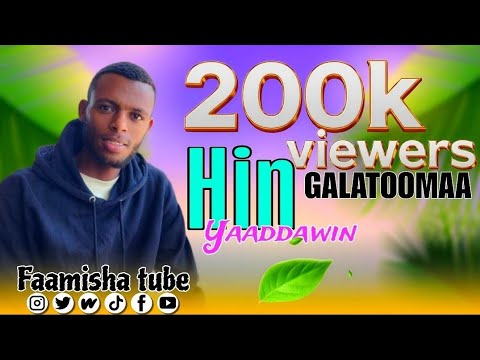 New  nashiida haraya Fahmi jamaal hin yaadawin hundaaf rabbiitu jiraa jattu guutu 