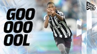 Gols | Botafogo 4x0 Cruzeiro | Brasileirão
