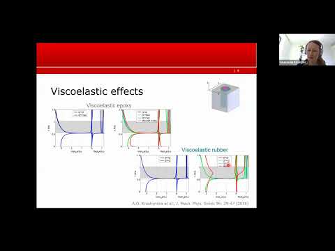 MetaMAT’s 24th webinar S2 - 19.04.2022 - Presentation - Anastasiia O.  Krushynska