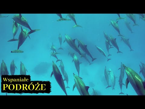 Podwodna przygoda z EdenSport