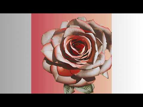 Christof Hunte - All My Life (Official Audio)