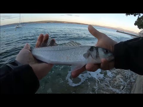 Seabass fishing on topwater lure Xorus Patchinko 100