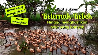 Download lagu Ribuan telor bebek siap jadi duit...!! Pensiunan guru ini sukses beternak bebek petelur ribuan ekor. mp3
