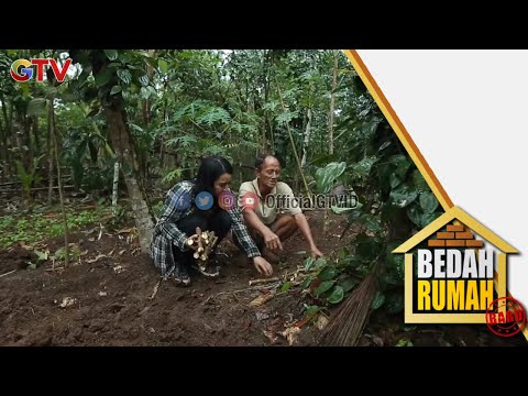 Bapak Saepul | Penebang Pohon | Sheila Octarina | Bedah Rumah | EPS 532| (2/5)
