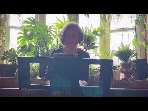 Promotional video thumbnail 2 for Ronni Weiss