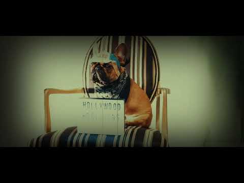 Hollywood Hooligans casting