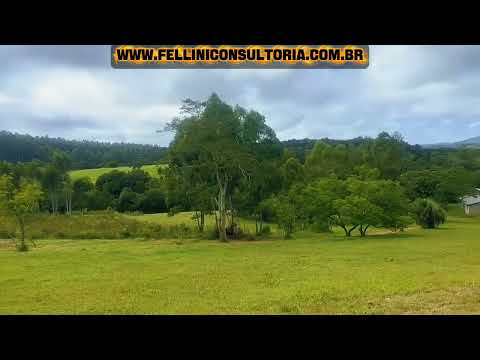  40,4 HECTARES EXCELENTE PADRÃO À VENDA EM MARIANA PIMENTEL / RS 
