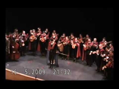 Tuna Biologia 2009 -Certamen Sevilla -Las palmeras