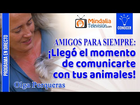 Comunicación interespecie: Escuchar a los animales con el corazón con Daniela Camino | Más Humanos