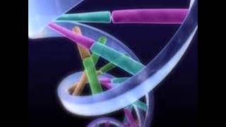 Watson and Crick: Discovering the Double Helix