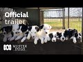 Muster Dogs Season 2 Official Trailer ABC Australia