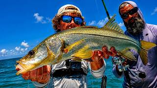 Non-Stop Action Fishing in Naples, Florida (So Many Species!)
