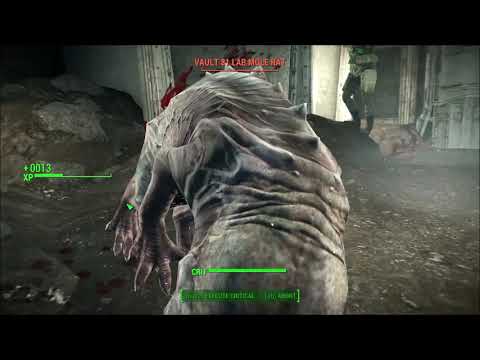 fallout 4 "survival" kill all vault 81 mole rat and avoid disease , no glitch (long play)