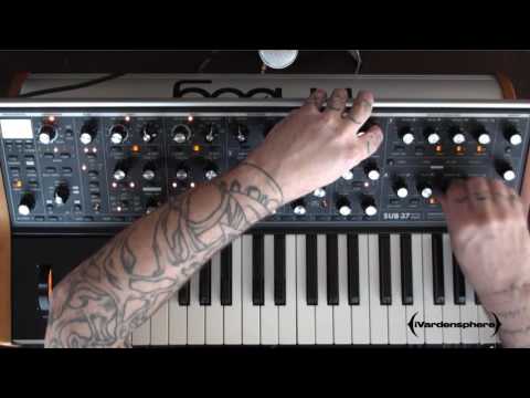 Moog Sub 37- Rhythmic and Percussive Looping