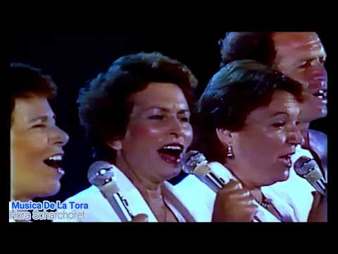 1.- להקת הגבעטרון "הורה סחרחורת"  .(לו על שכר) - הופעה חיה