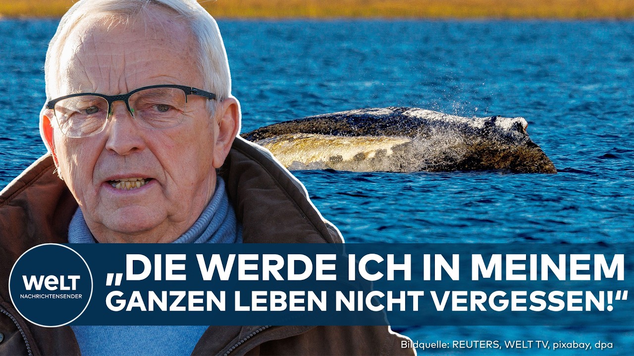 TIMMY: Sensation gelungen! Wal-Rettung begeistert – Umweltminister Backhaus emotional