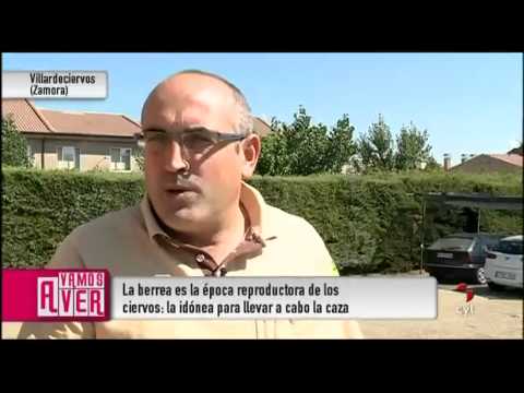 Todo un monumento a la vida en Villardeciervos