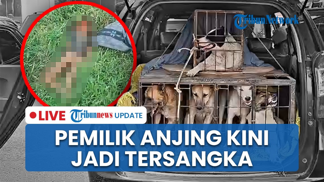LIVE: Pemilik Anjing yang Serang Bocah hingga Tewas di Jasinga Bogor Kini Jadi Tersangka