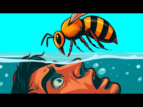 The Worst Thing You Can Do During a Bee Attack