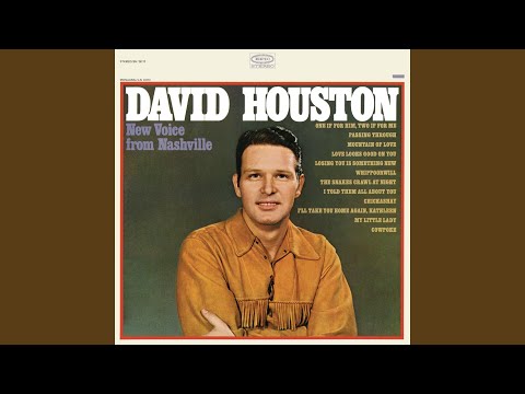 I Told Them All About You - David Houston