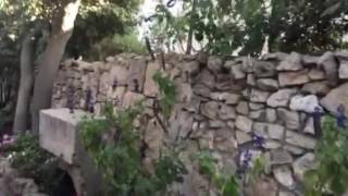 Rosa Perez - Jerusalem - 🌺🌸🌷🌹💐🌻-El Jardín