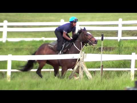 2012-11-12 Jealous Valentine trackwork