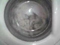 Zanussi FLA1101 Whites Wash 50c