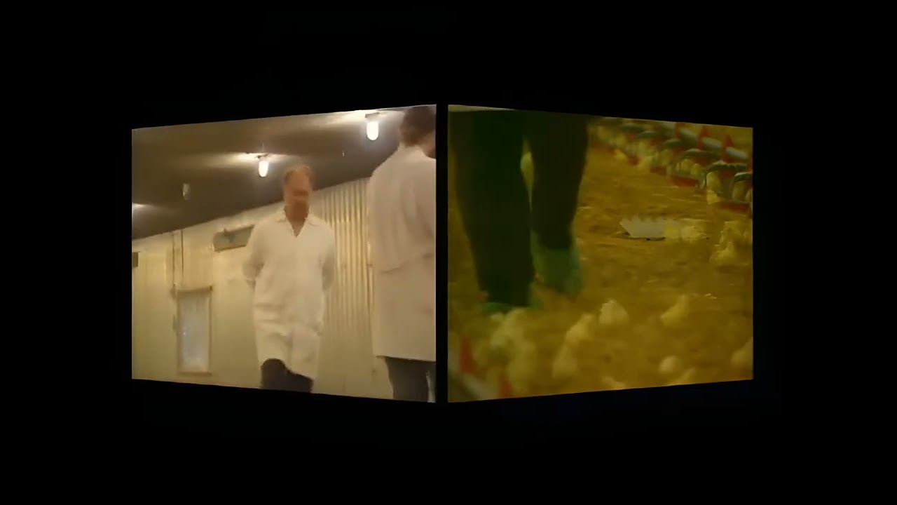 008 PICK&PEN (Enhanced 4K)