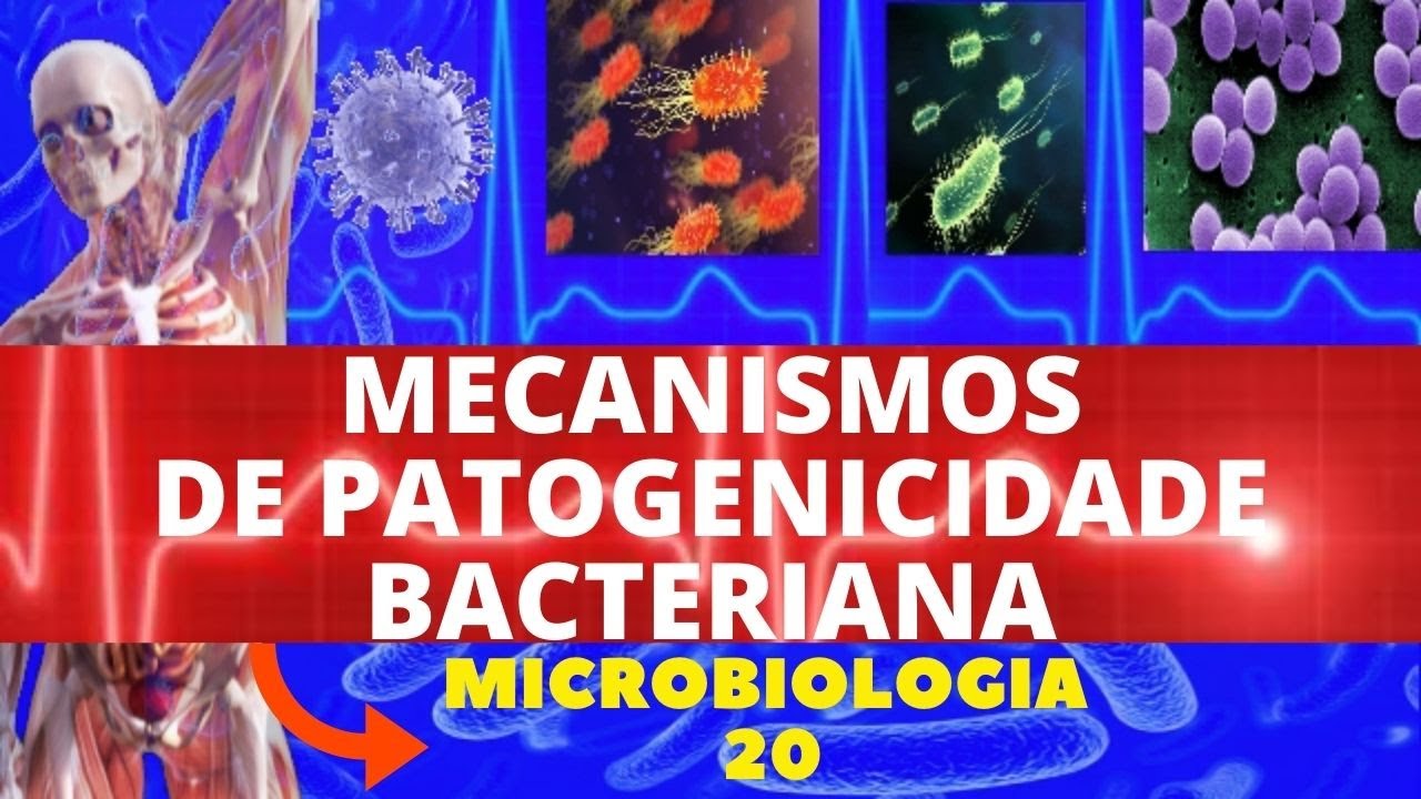 MECANISMOS DE PATOGENICIDADE BACTERIANA - MICROBIOLOGIA (BACTÉRIAS PATOGÊNICAS)