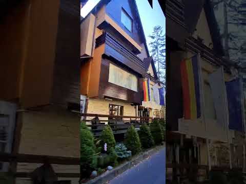 Munții Bucegi de la  Gară,  Mănăstirea Sinaia spre Telegondolă, Cabana Schiorilor... Poiana Stânii