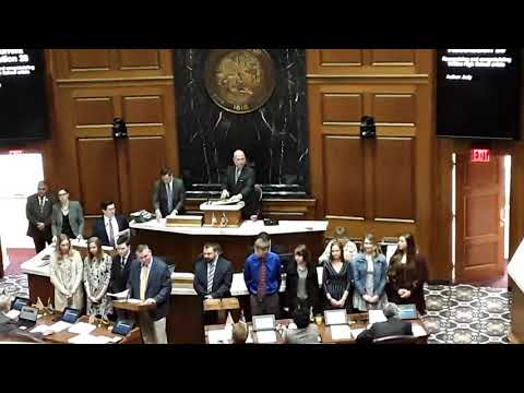 3/28/19 House Resolution