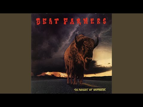 by Joey Harris - The Beat Farmers, Pursuit Of Happiness, Curb Records, 1987