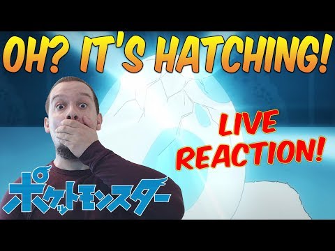 HATCHING UP INSANE HYPE!! Crasher *LIVE* Reacts: Pocket Monsters/Pokémon 2019 Episode 21!