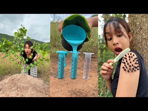 Part 39 | Survival Skills: SMART ideas and USEFUL in the forest#bushcraft #camping #outdoors #useful