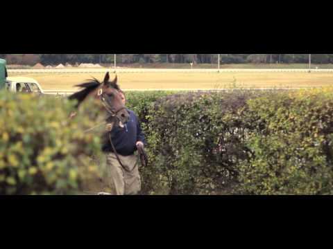 Homenaje a Invasor - Hipódromo Nacional de Maroñas