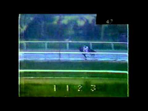 MISTER FRISKY -  Clásico Juan Orlando Herrero 1989