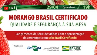Miniatura do vídeo