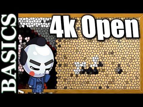 4Kyu Openings need WORK - Back to Basic Baduk