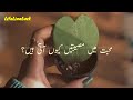 Mohabat Main Musibtein Q Atti Hai Mohabat Shayari Status LifeLineLuck