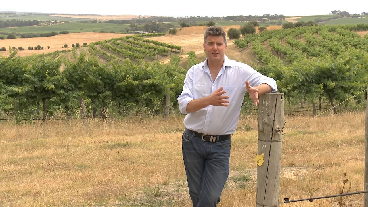 McLaren Vale - Our Home